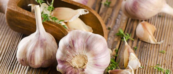 Удаление бородавок чесноком