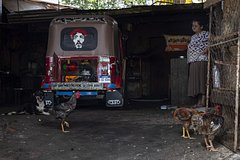 Блогерша описала Гондурас фразой «российская глубинка кажется опаснее»