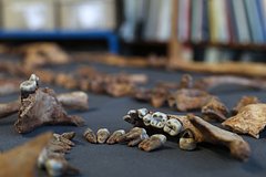 Человеческие останки в багаже пассажира обнаружили в аэропорту США