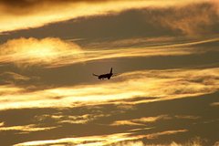 Два российских аэропорта приостановили работу в целях безопасности