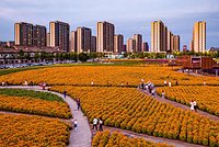 Двое мужчин пытались вывезти из России в Китай тонну бивней мамонтов Двое мужчин пытались вывезти из России в Китай тонну бивней мамонтов