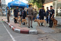 Европеец оказался замешан в деле пропавшей в Таиланде россиянки