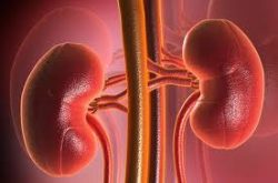 Салициловая кислота против прыщей Салициловая кислота против прыщей