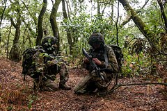 Генштаб ВСУ отреагировал на данные о повторении Россией операции «Поток»