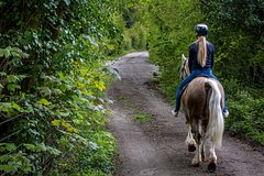 Голый мужчина попытался изнасиловать наездницу в Европе и был избит кнутом