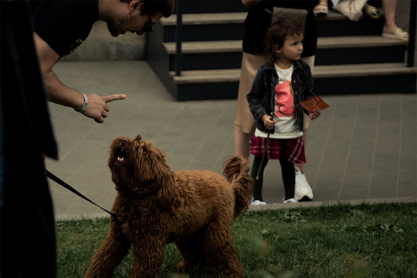 Лучшая музыка, стендап и очень много историй. Что делать на «Чтиво Фесте» и почему это лучшее мероприятие для завершения лета?