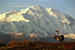 «Не для слабонервных». Путин и Трамп летят на Аляску. Чем это место поражает?