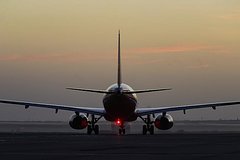 Пассажирский самолет с россиянами на борту прервал взлет из-за птицы Пассажирский самолет с россиянами на борту прервал взлет из-за птицы