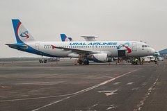 Пьяный мужчина обматерил попутчиков и сорвал рейс российского самолета Пьяный мужчина обматерил попутчиков и сорвал рейс российского самолета