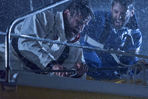 Появились подробности о ситуации с нашествием акул в Египте