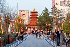 Россияне описали еду кочевников в Калмыкии фразой «гостям может стать плохо»