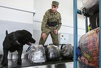 Россиянин планировал вывезти в Турцию чертежи скрипок и попал под уголовное дело