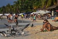 Россиянка описала антисанитарию в туалетах Египта фразой «это все очень печально»