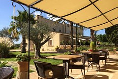 Россиянка описала впечатления от похожего на дачу отеля в Турции фразой «от вау до ужаса»