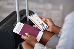 Российская авиакомпания объявила распродажу билетов по цене от 1,2 тысячи рублей