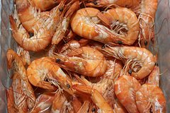 Российские туристы массово отравились креветками в роскошном отеле Кубы