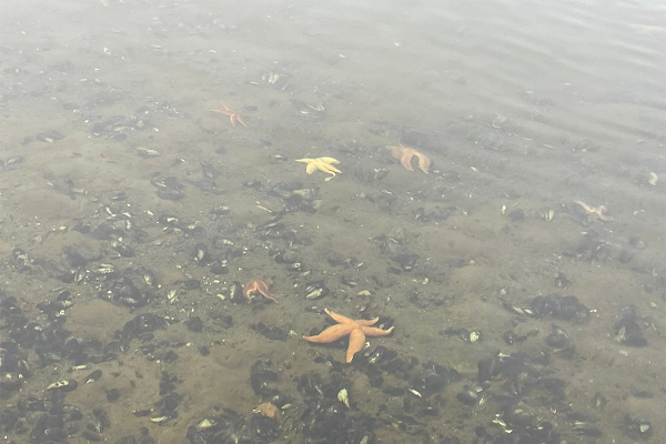 Север помнит. Почему поездка на Соловецкие острова может стать одной из самых незабываемых в жизни?