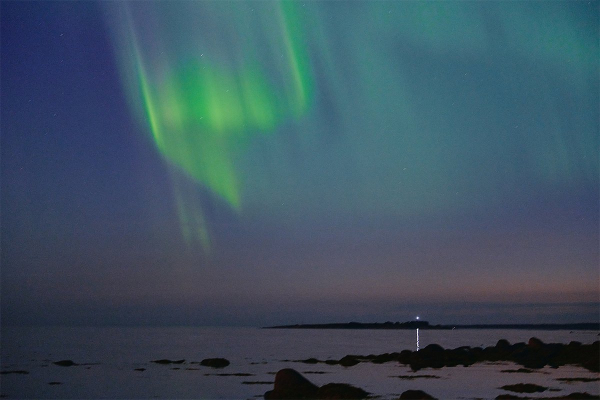 Север помнит. Почему поездка на Соловецкие острова может стать одной из самых незабываемых в жизни?