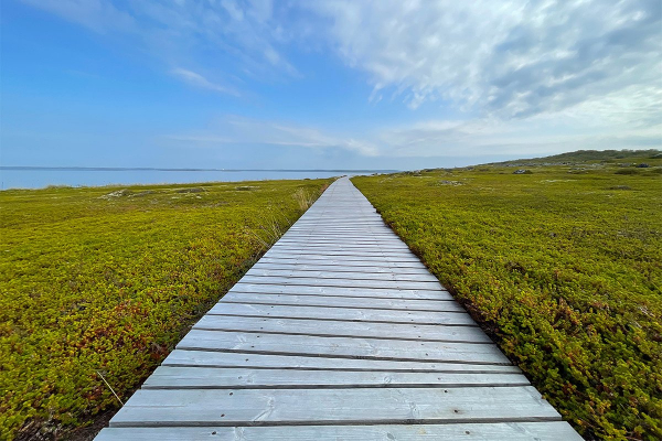 Север помнит. Почему поездка на Соловецкие острова может стать одной из самых незабываемых в жизни?