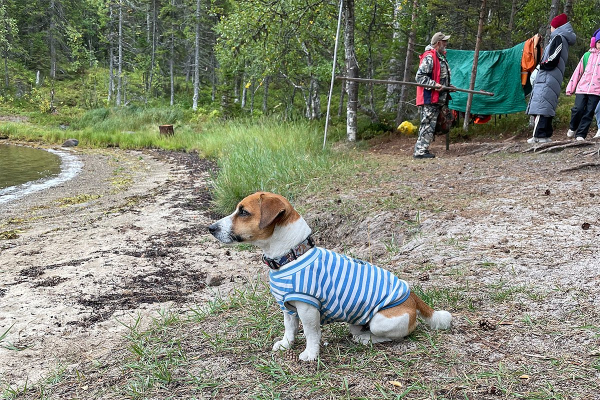 Север помнит. Почему поездка на Соловецкие острова может стать одной из самых незабываемых в жизни?