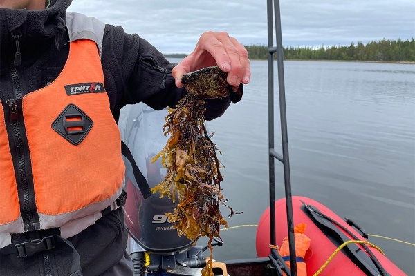 Север помнит. Почему поездка на Соловецкие острова может стать одной из самых незабываемых в жизни?