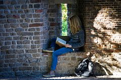 Тревел-блогер побывал в Голландии и обнаружил русские стихотворения на стенах зданий