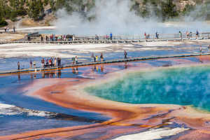 Трое подростков забили мужчину камнями на пляже в Европе