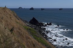 Турист не выжил после падения в загадочную воронку на побережье США