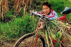 Турист поехал с семьей на курорт Турции, пошел купаться в море и не выжил Турист поехал с семьей на курорт Турции, пошел купаться в море и не выжил