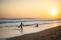 В Европе аномальная жара лишила жизни гида прямо во время экскурсии