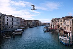 Влюбленных выгнали из туристического города Европы из-за прыжка в воду Влюбленных выгнали из туристического города Европы из-за прыжка в воду