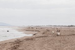 Женщина нашла своего супруга бездыханным в воде и едва не погибла от паники